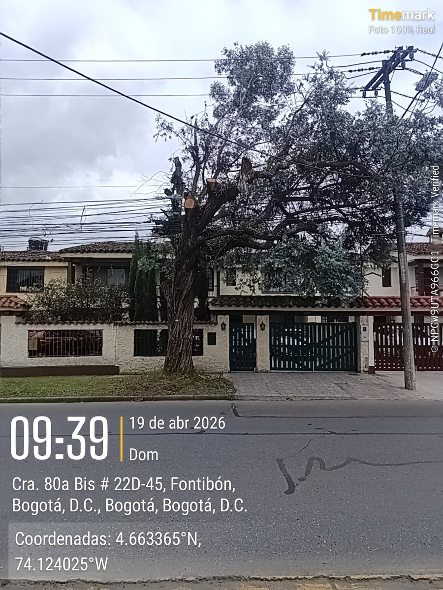 marittadodo's tweet photo. @EnelClientesCO La foto actualizada. Que crimen con ese árbol y con los vecinos.
@EnelClientesCO cc @Fontibon_Bogota https://t.co/laKnwdsLow