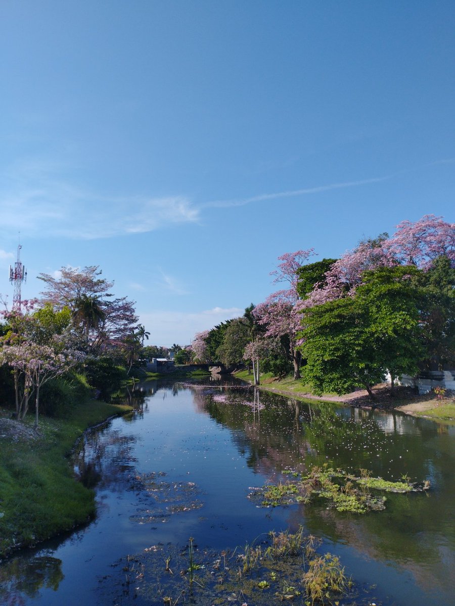 Dom_vel1's tweet image. Mi pueblito de colores #Tabasco #Comalcalco #Colors #Macuili