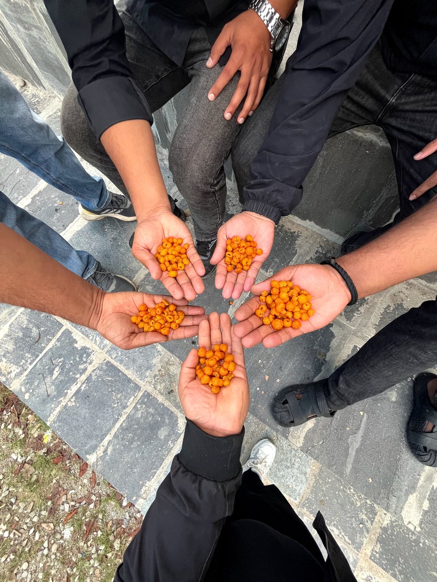 अंशवण्डा मिलेको छ नि!!