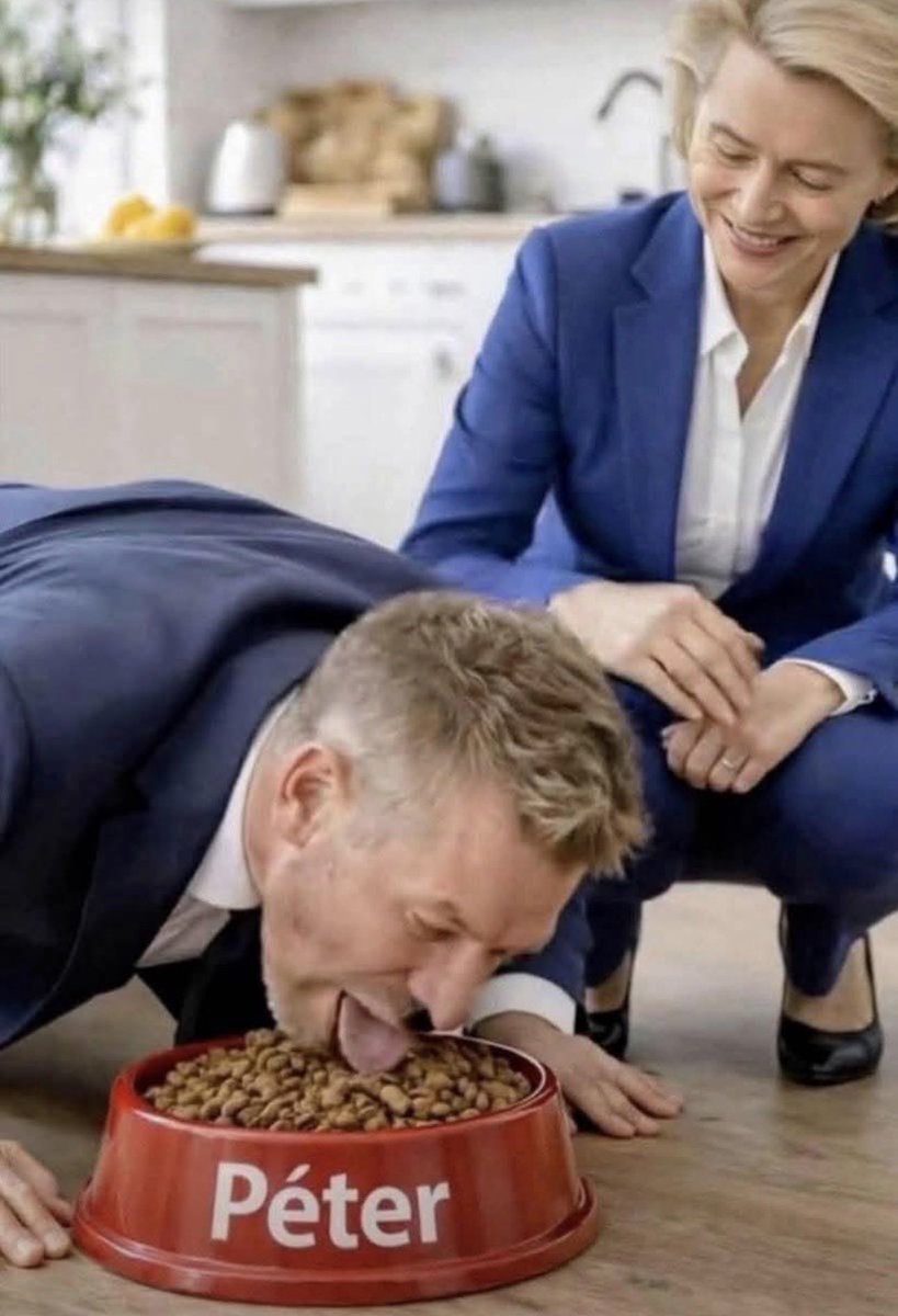 Noced Ly tweet media