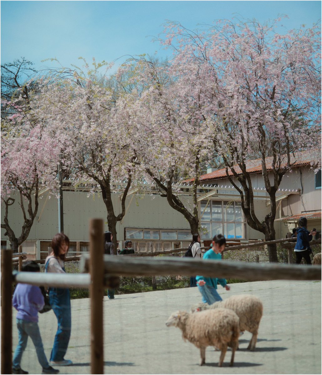 Otsuka Tadashi │ 写真×映像 tweet media