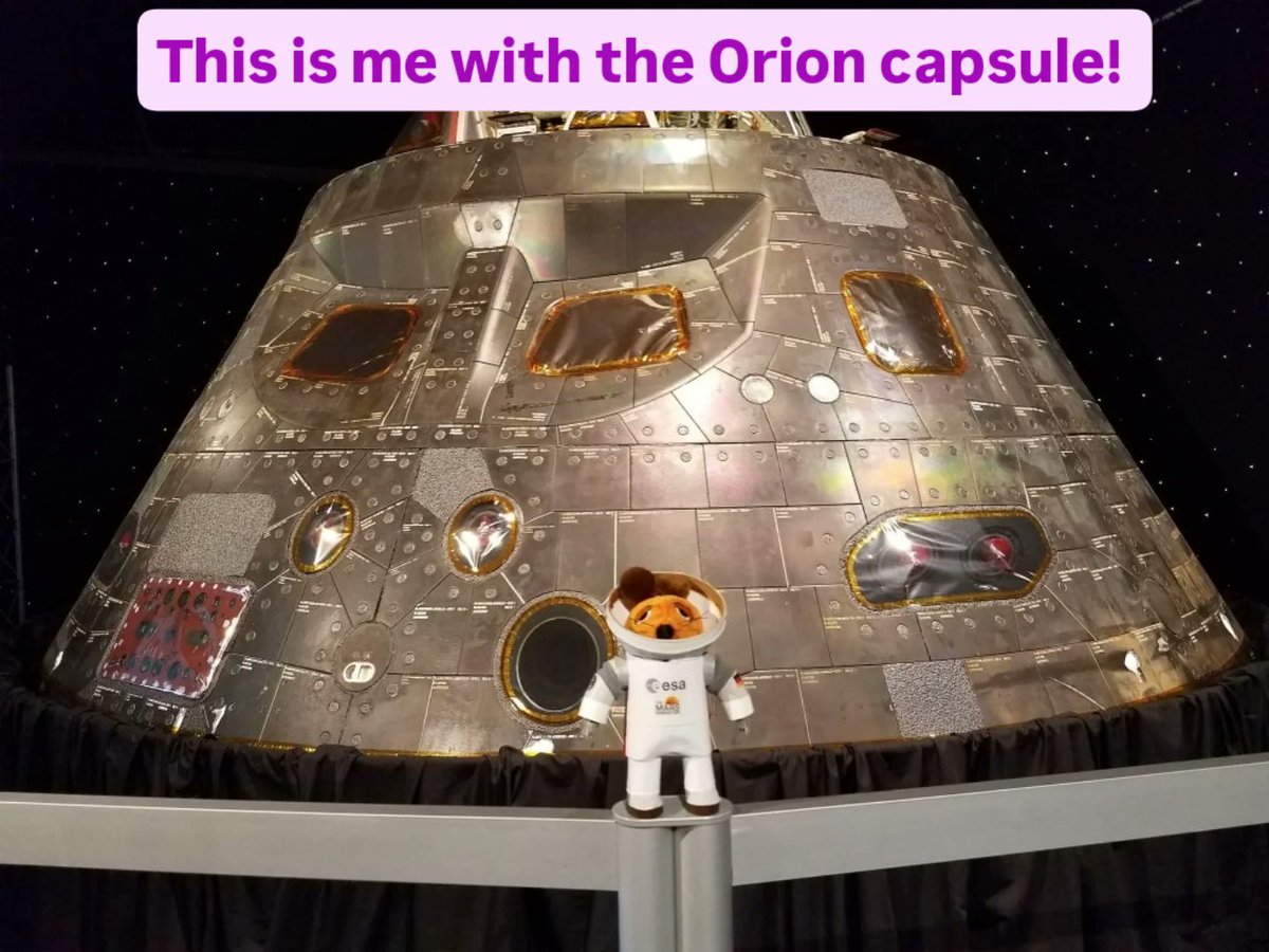Mausonaut tweet media