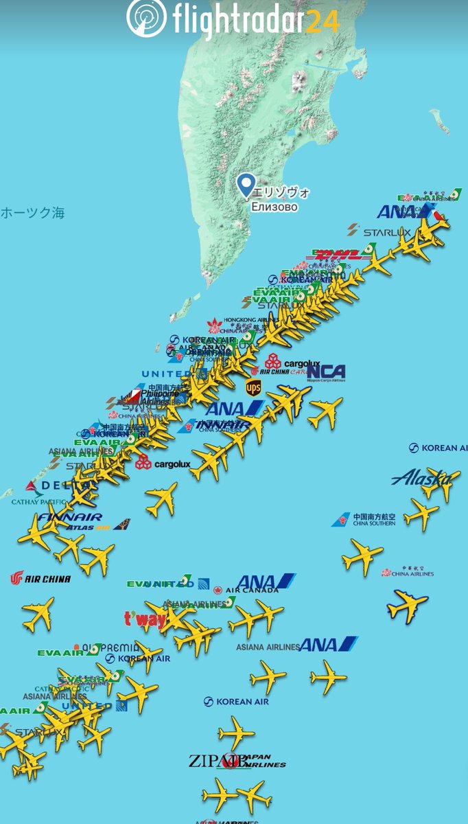 めちゃめちゃ綺麗に列作っててすげぇ