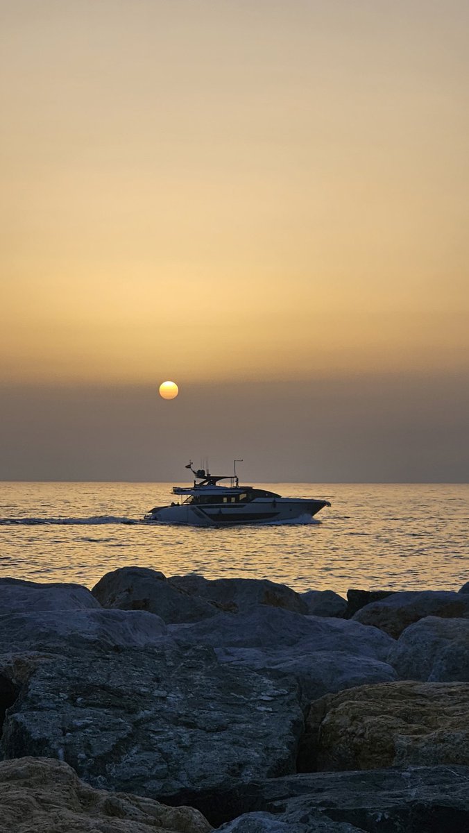 dard_e_disco_'s tweet image. #GoldenHour