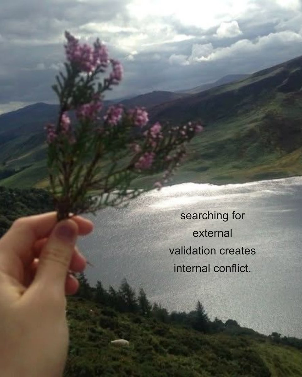 Moon In Veritas ⚝ tweet media