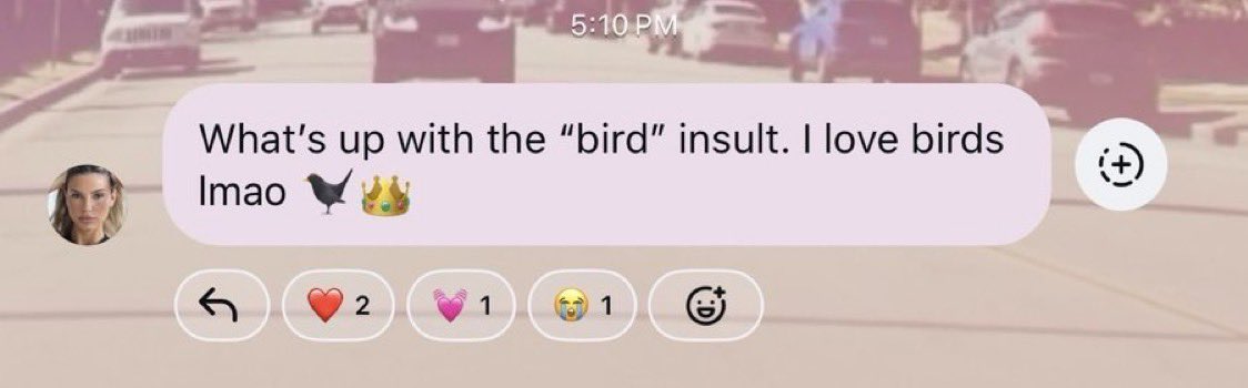 whois_ttamara tweet media