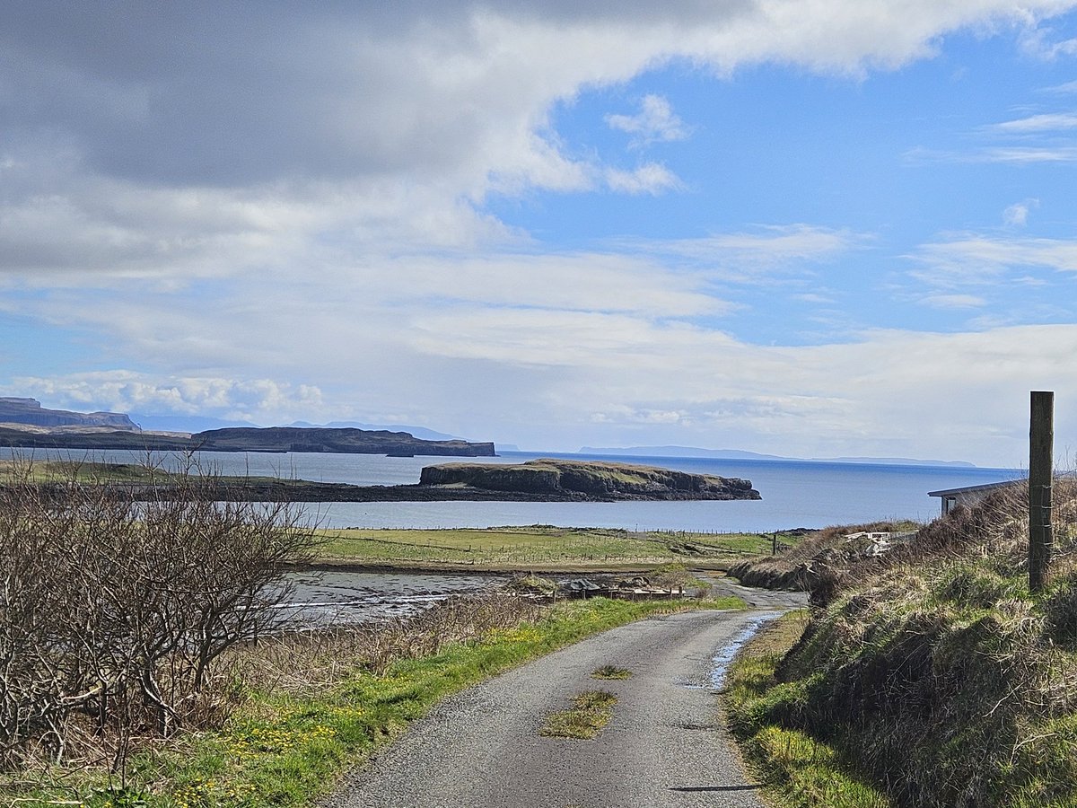 Talla Hopper tweet media