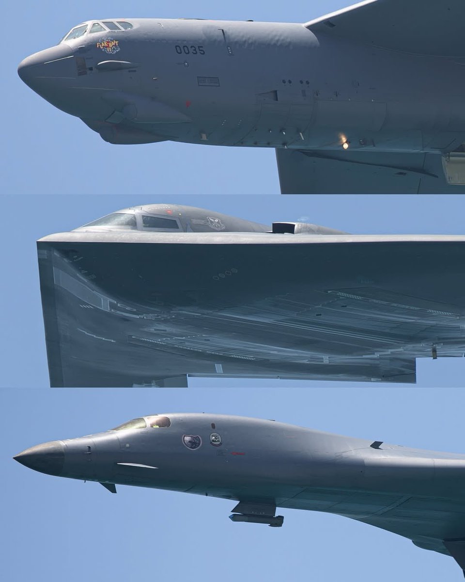 Lawrence 精卫 tweet media