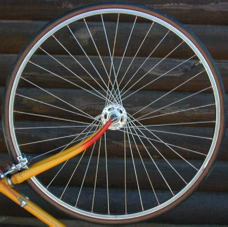 Hikaru_Shidou 🌲 tweet media