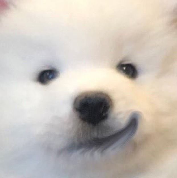 แงวมันฝรั่ง🥔 – slow tweet media