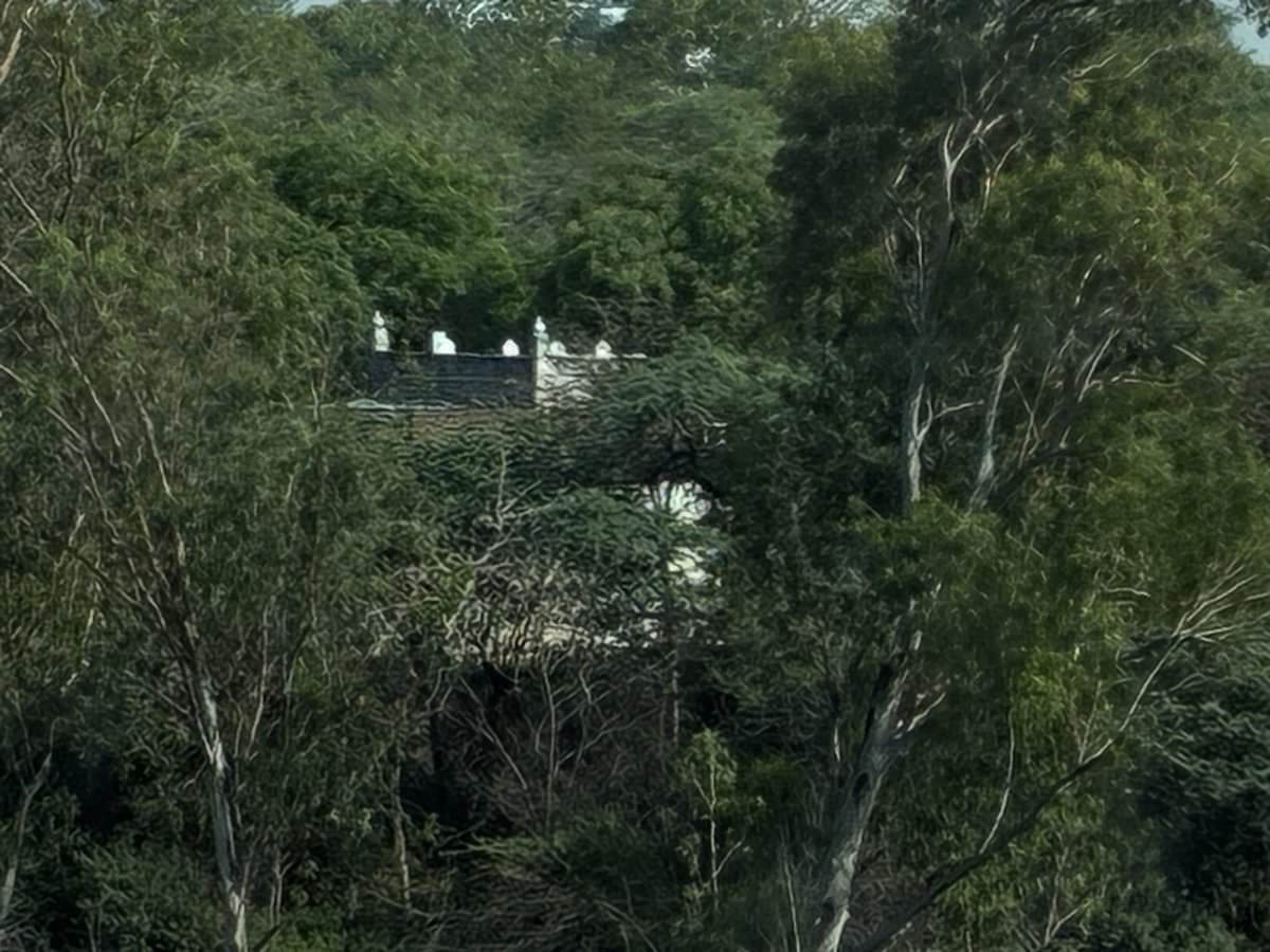 Mukesh Kumar tweet media