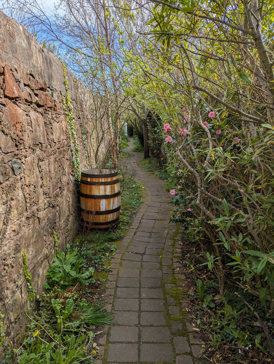 Preston Reed tweet media