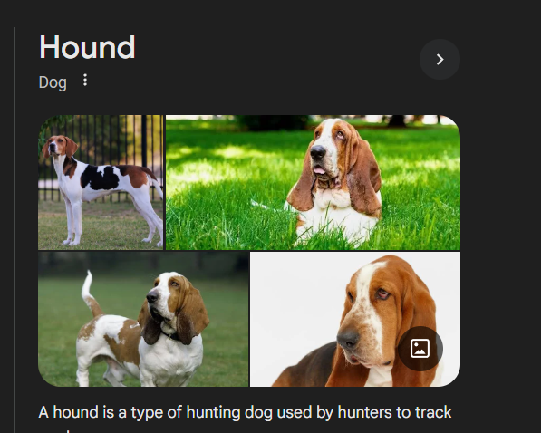 William Belfort 𖣯 tweet media