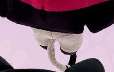 ༒ 𝔼𝑙𝑖𝑠𝑒 𐂂 ♡︎ | Alastor’s love 📻🐇🎀 tweet media