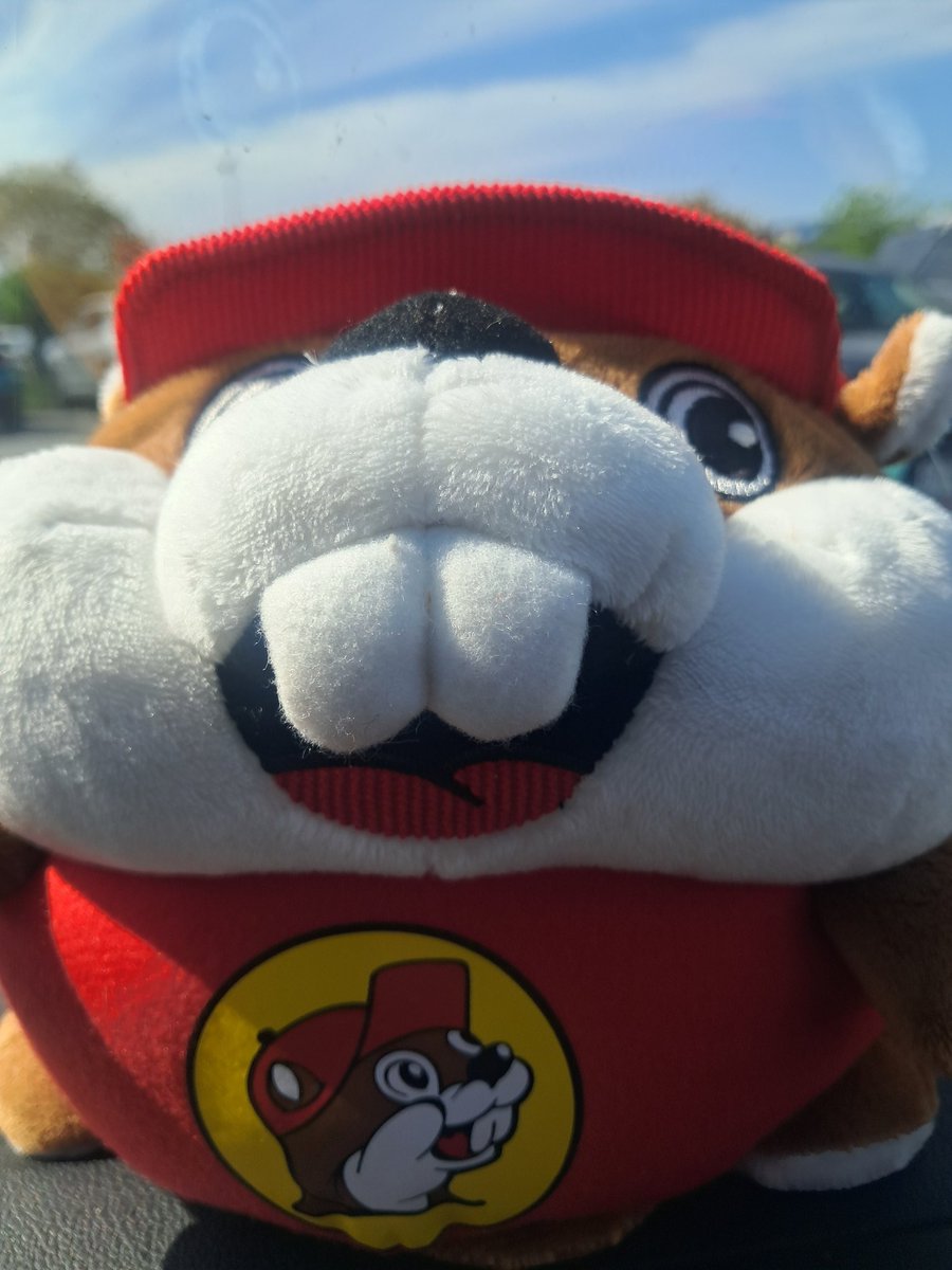 MoonSoon tweet media