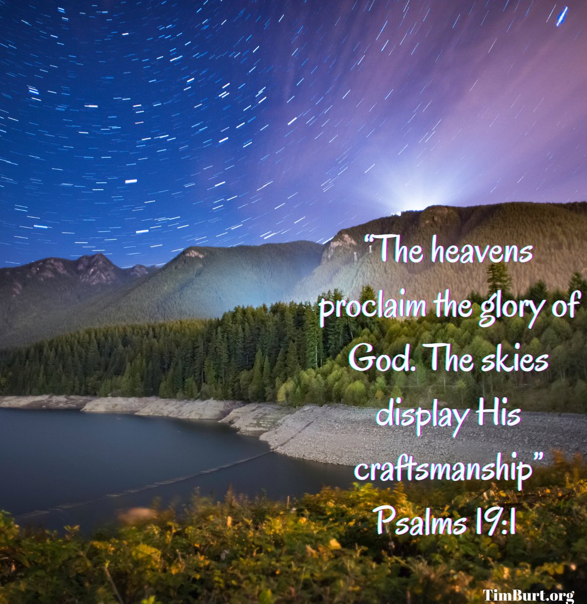 Timothy Burt tweet media