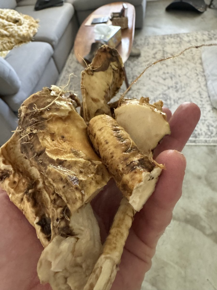 Lark Drywall tweet media