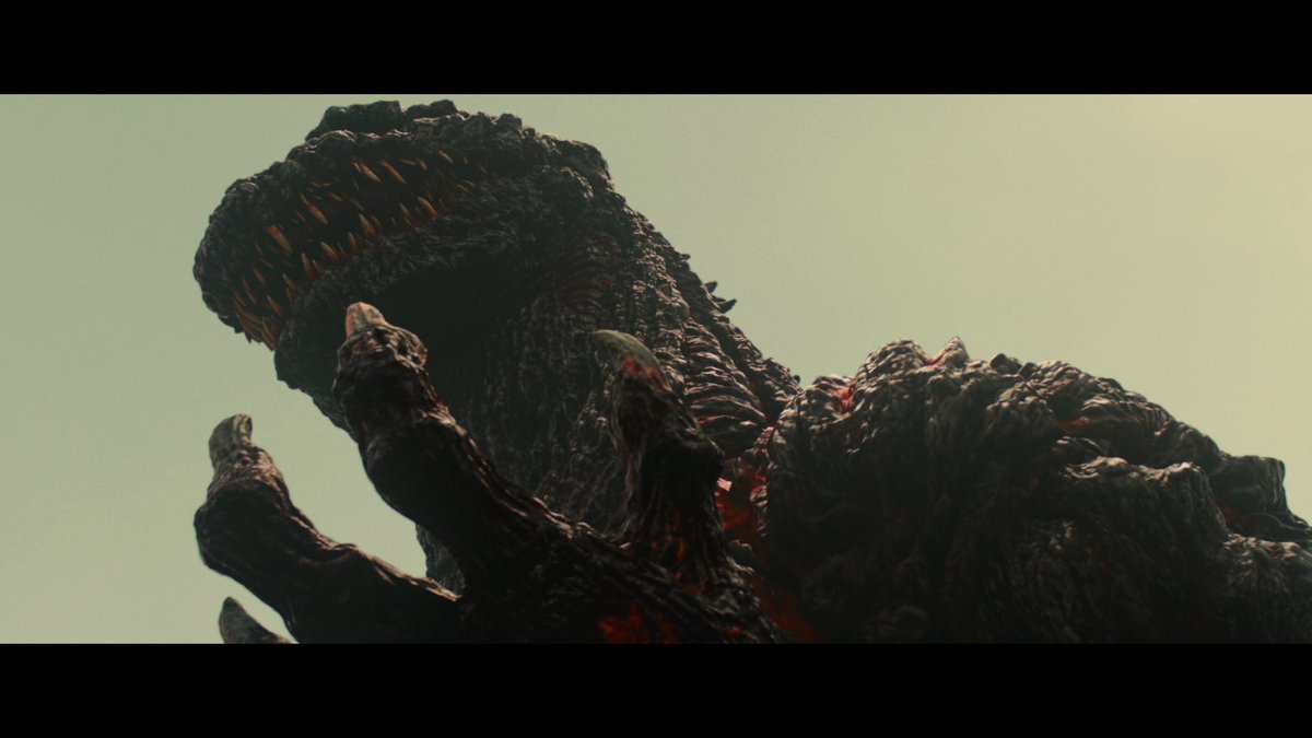 Toby Forshaw tweet media