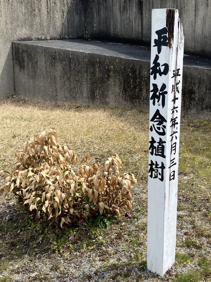 ゼンジロー秋山 tweet media