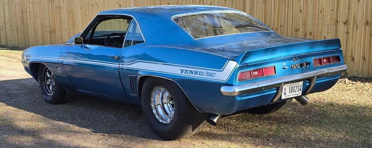 RobotPete of Selwyn! tweet media