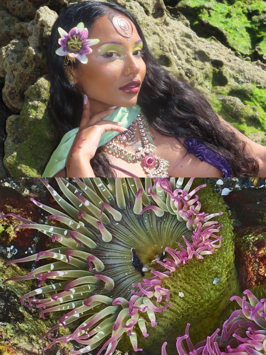 rani means queen tweet media