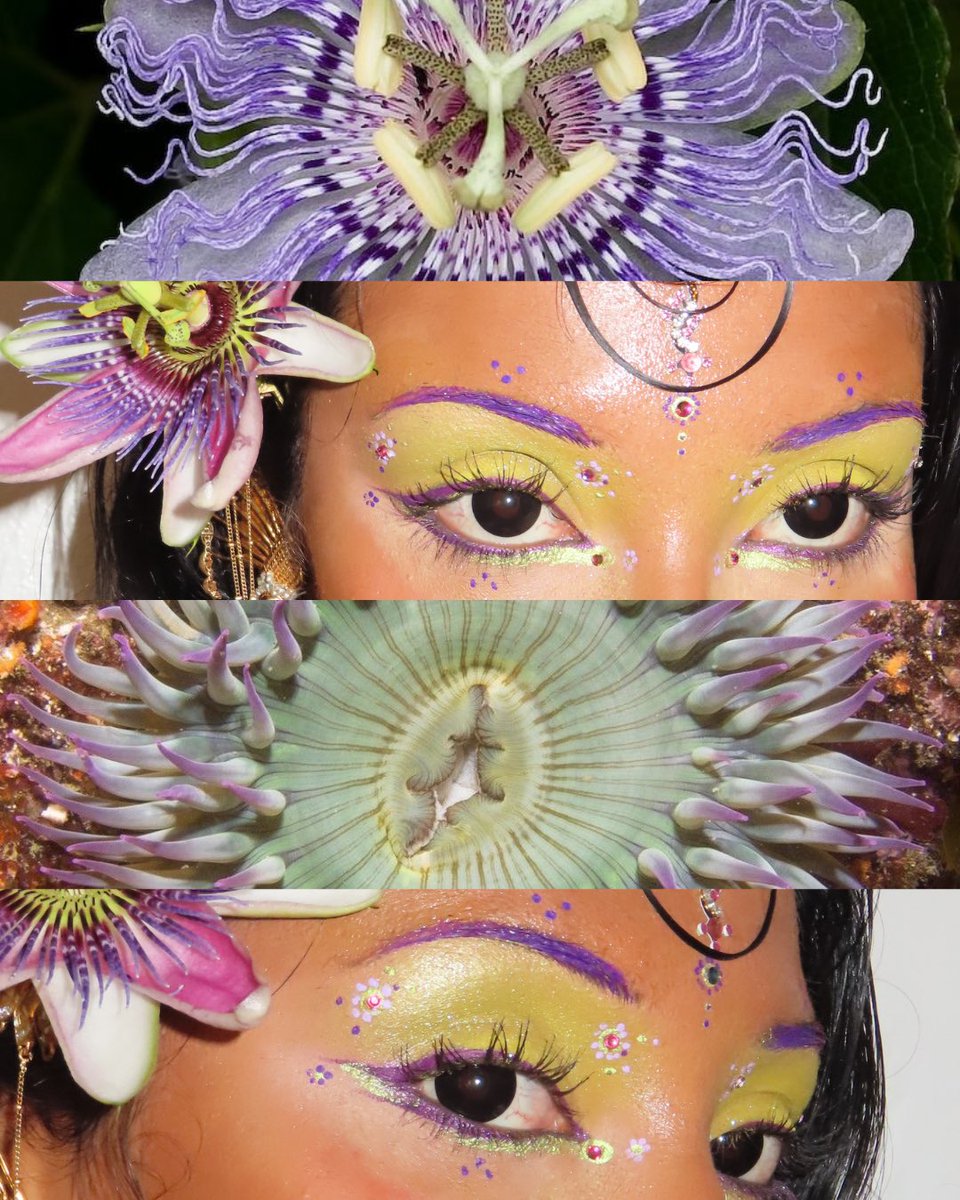 rani means queen tweet media