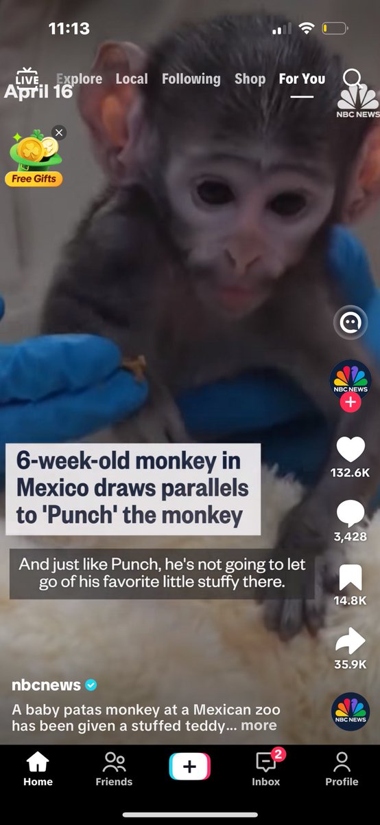 ⠀ ⠀ look at your giant ears and mustache and unibrow