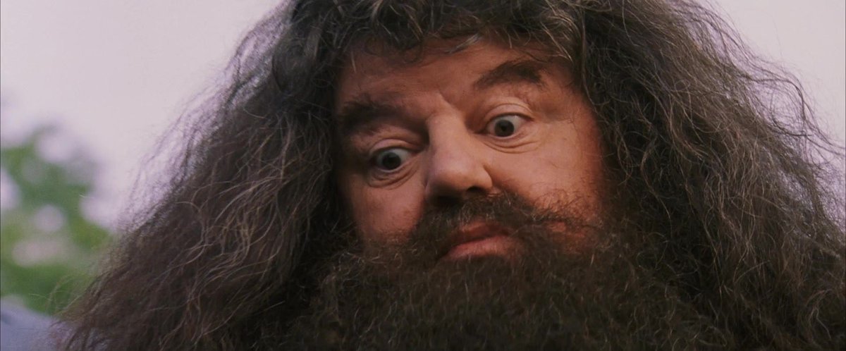 Você sabia?

Essa última cena de em “Harry Potter e a a pedra filosofal (2001)” foi gravado primeiro que as outras e o motivo do Harry Potter (Daniel Radcliffe) estar com os os olhos avermelhados, como se estivesse marejados é porque tentaram usar a lente de contato verde nele