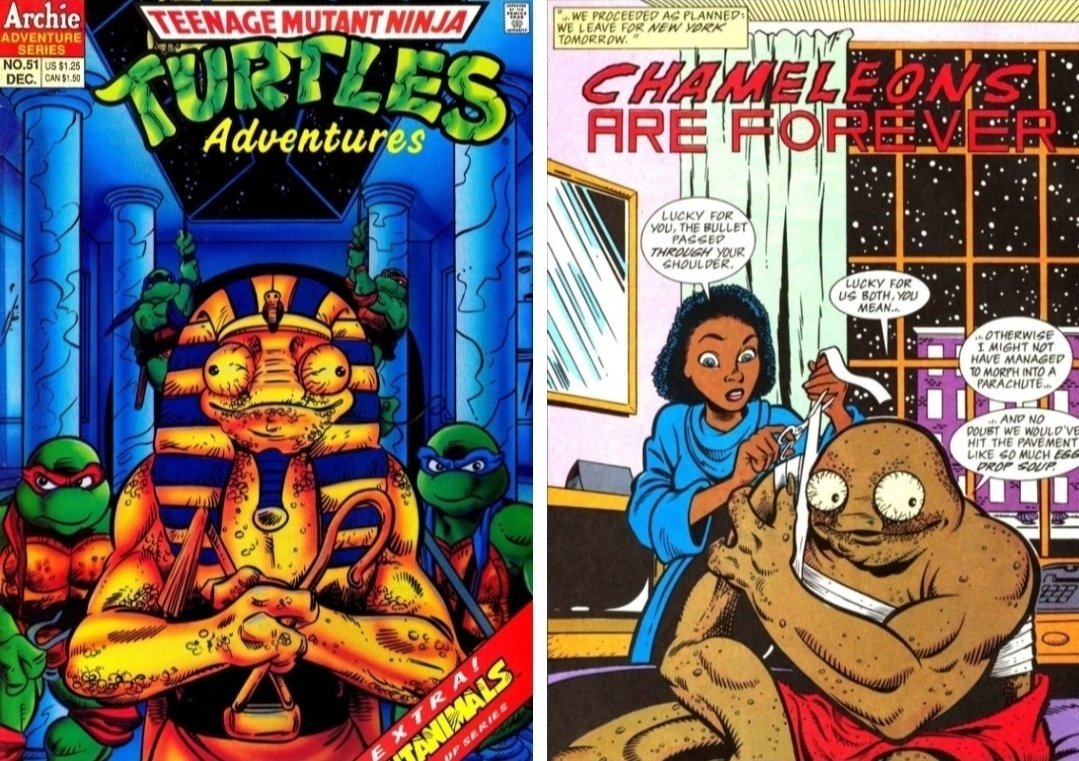 holmyork88's tweet image. @JohnsonIsLovely 
Val is a freelancer and former reporter appearance in TMNT Adventures issue 51: Chameleons are Forever in (Archie) comics by Stephen Murphy in year 1993
#TMNT
