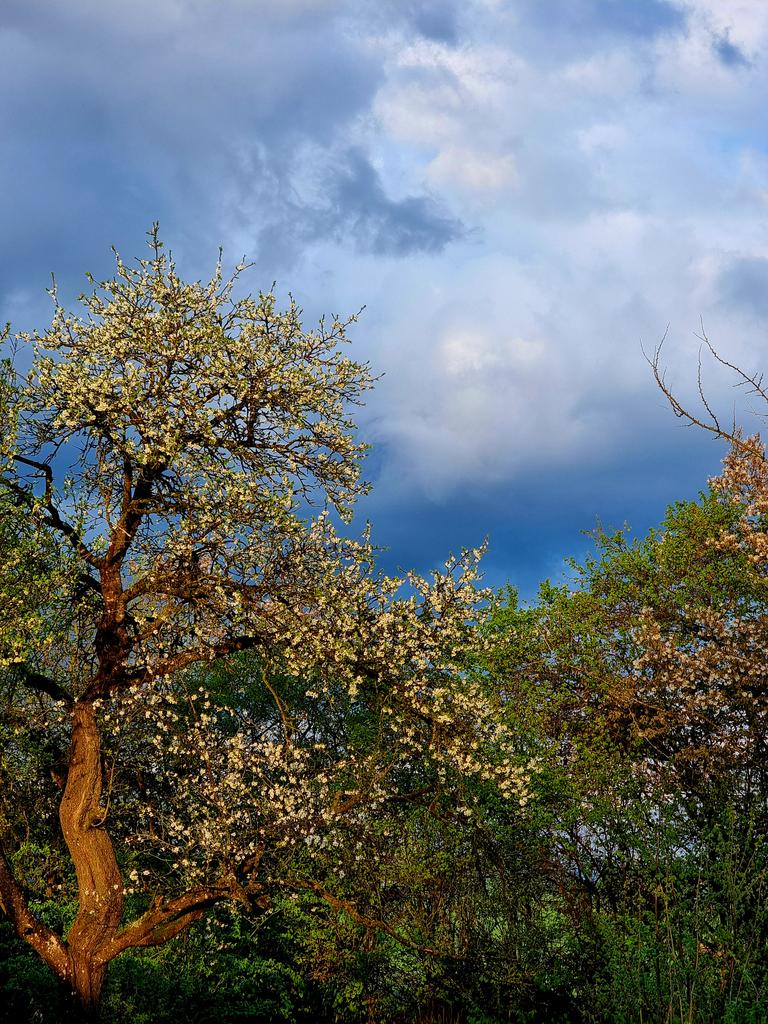Gartenglück tweet media