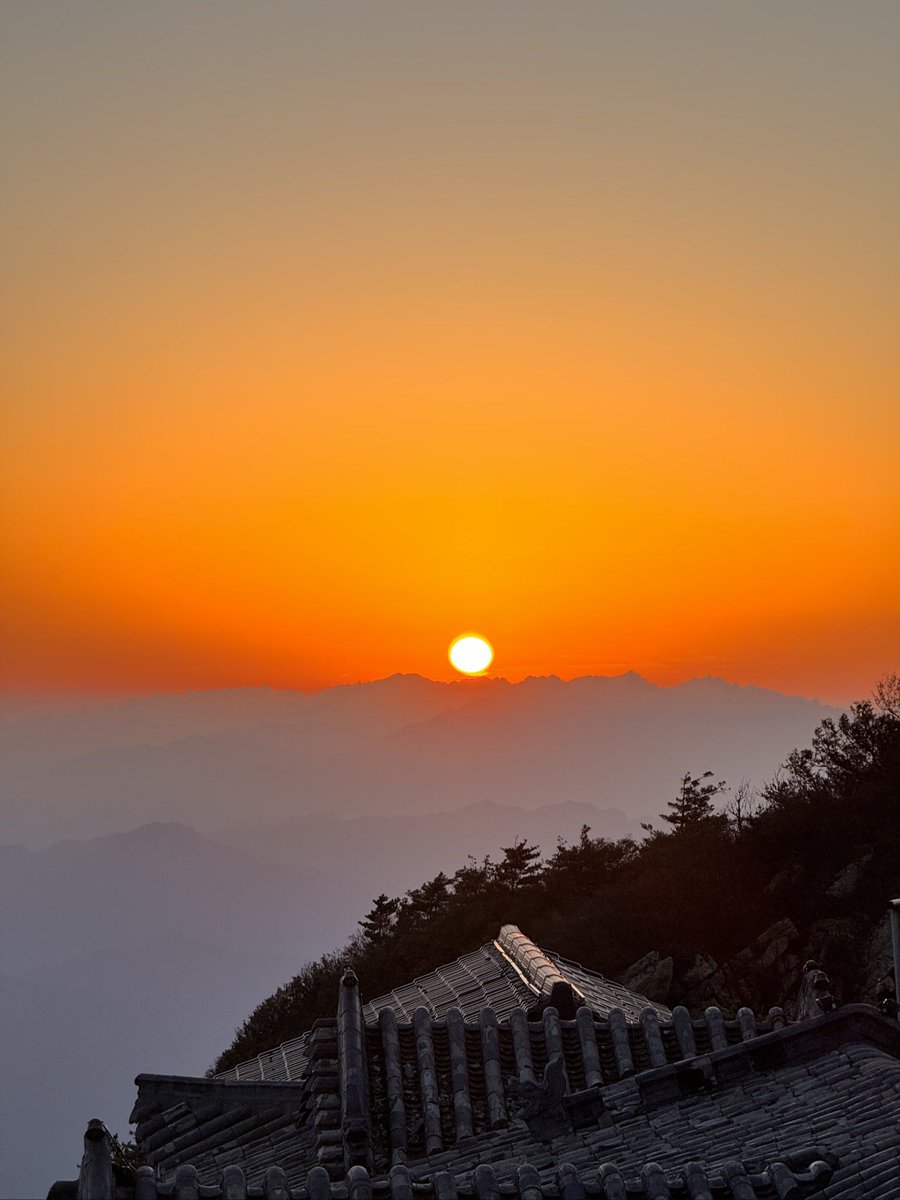 balkesburo tweet media