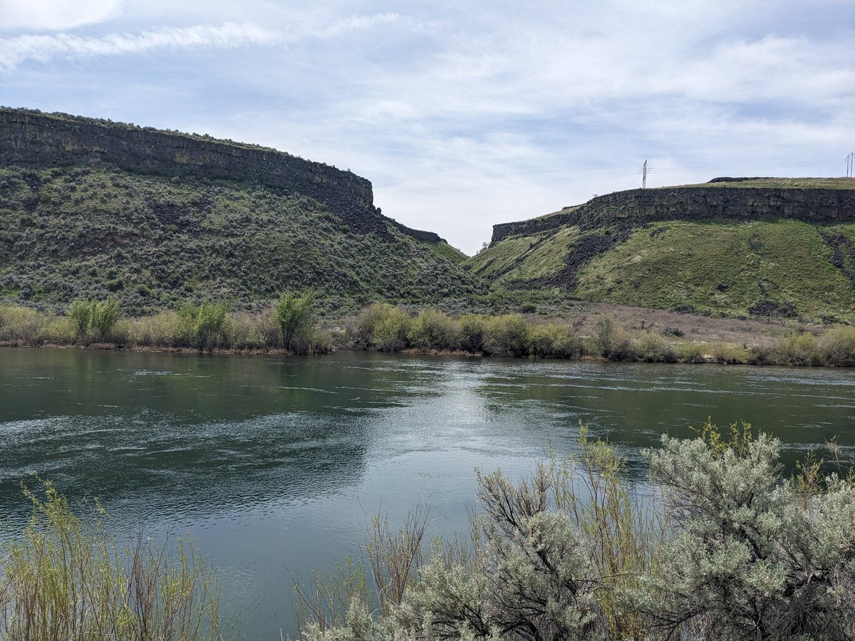 MKhaoS86's tweet image. Great weather for a brick day. Run was relaxed even with the strides thrown in, with a Z2 ride that was about 5 minutes shy of 2 hours

#running #trailrunning #cycling