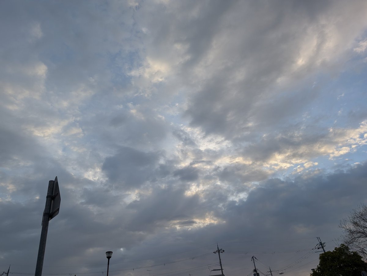 Rain_leading's tweet image. 2026/04/20 おはようございます
今日も、鳥の声に耳を澄ましながらのバス待ちでした。春から夏に移るこの時期、体調を崩すので「好きではないな」と感じていましたが、鳥の声を聴くと「心地よい」と感じるので、「悪くない」と思うようになりました

今日は、Largoでレッツゴーです
#Penthouse