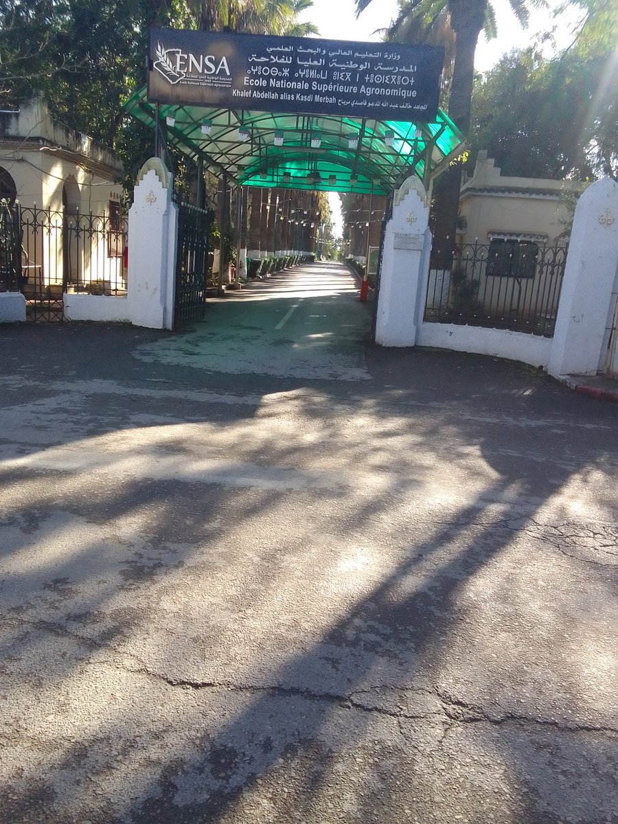 جزائرية 🌻 tweet media