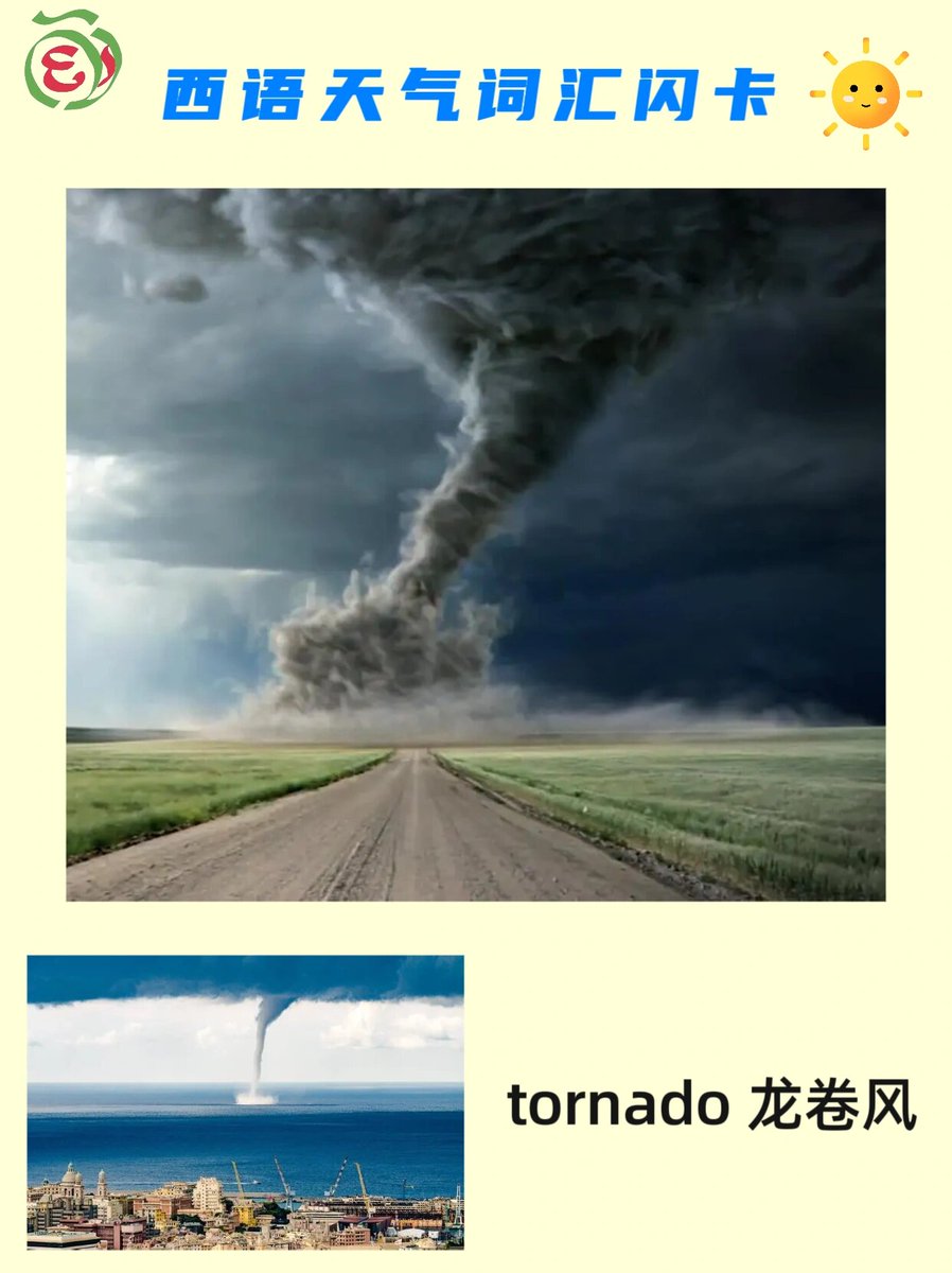 elise bourdier tweet media