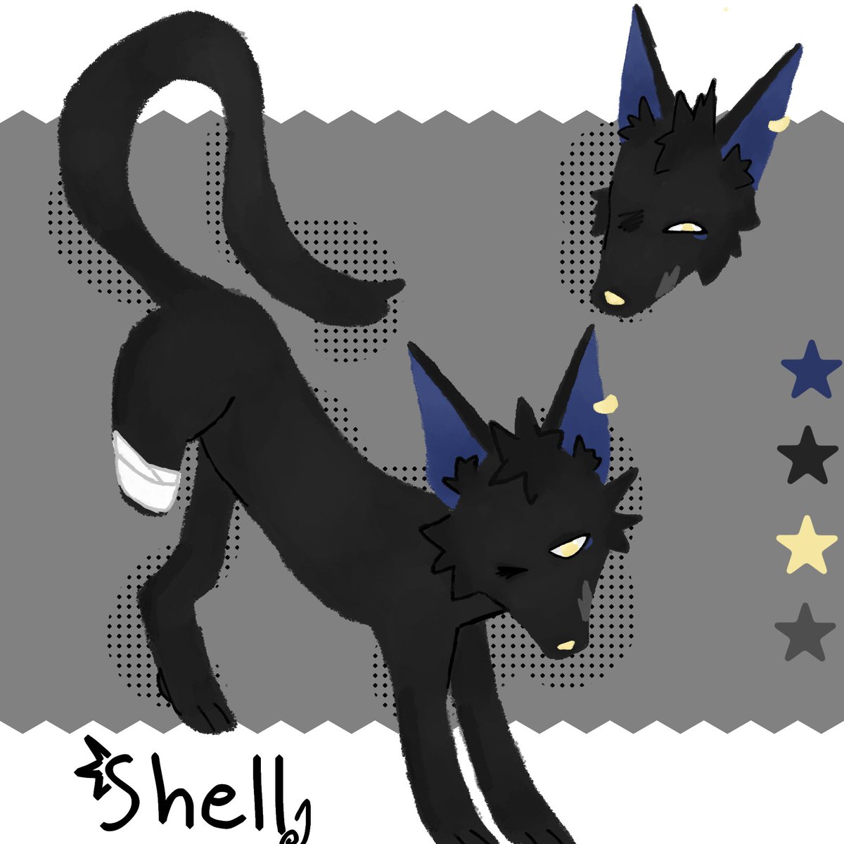 🐾Shell tweet media