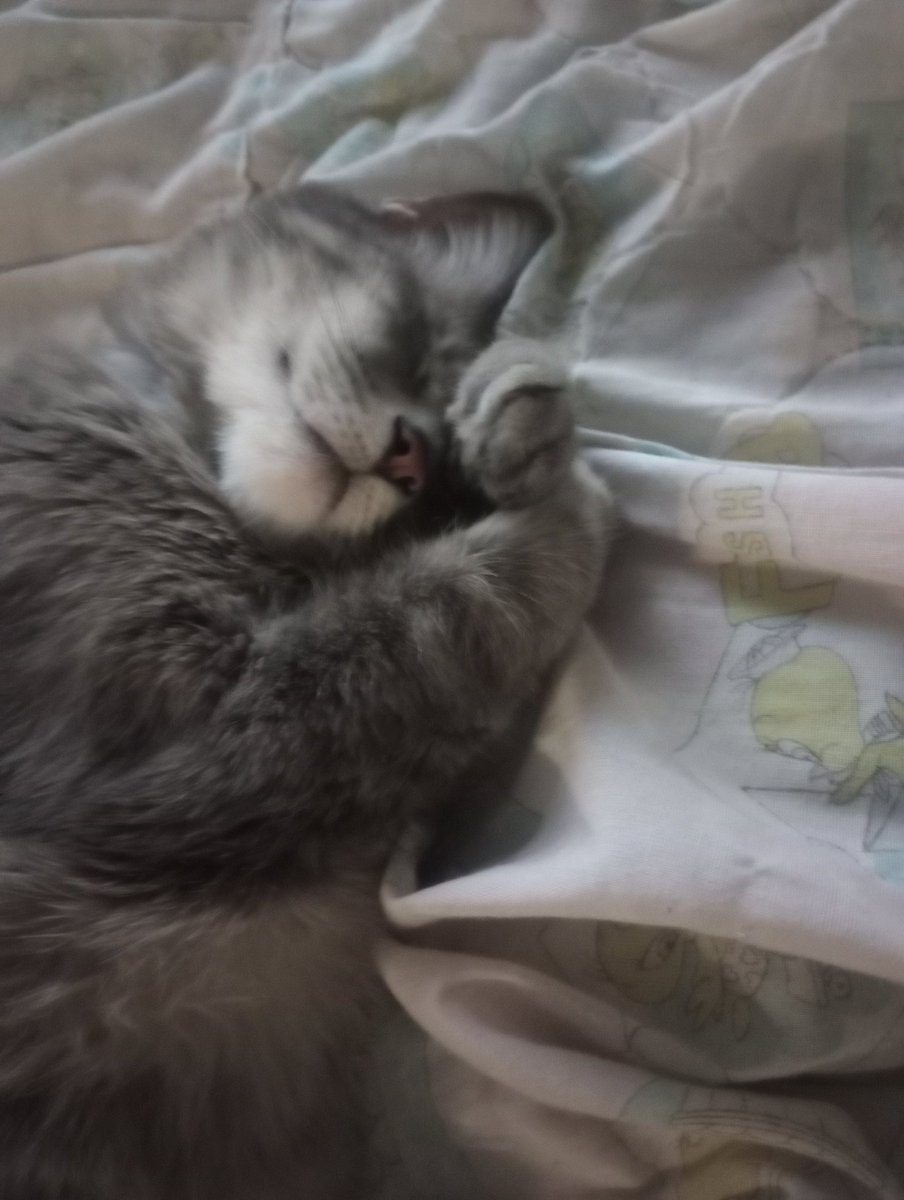 Tormenta de semana santa tweet media