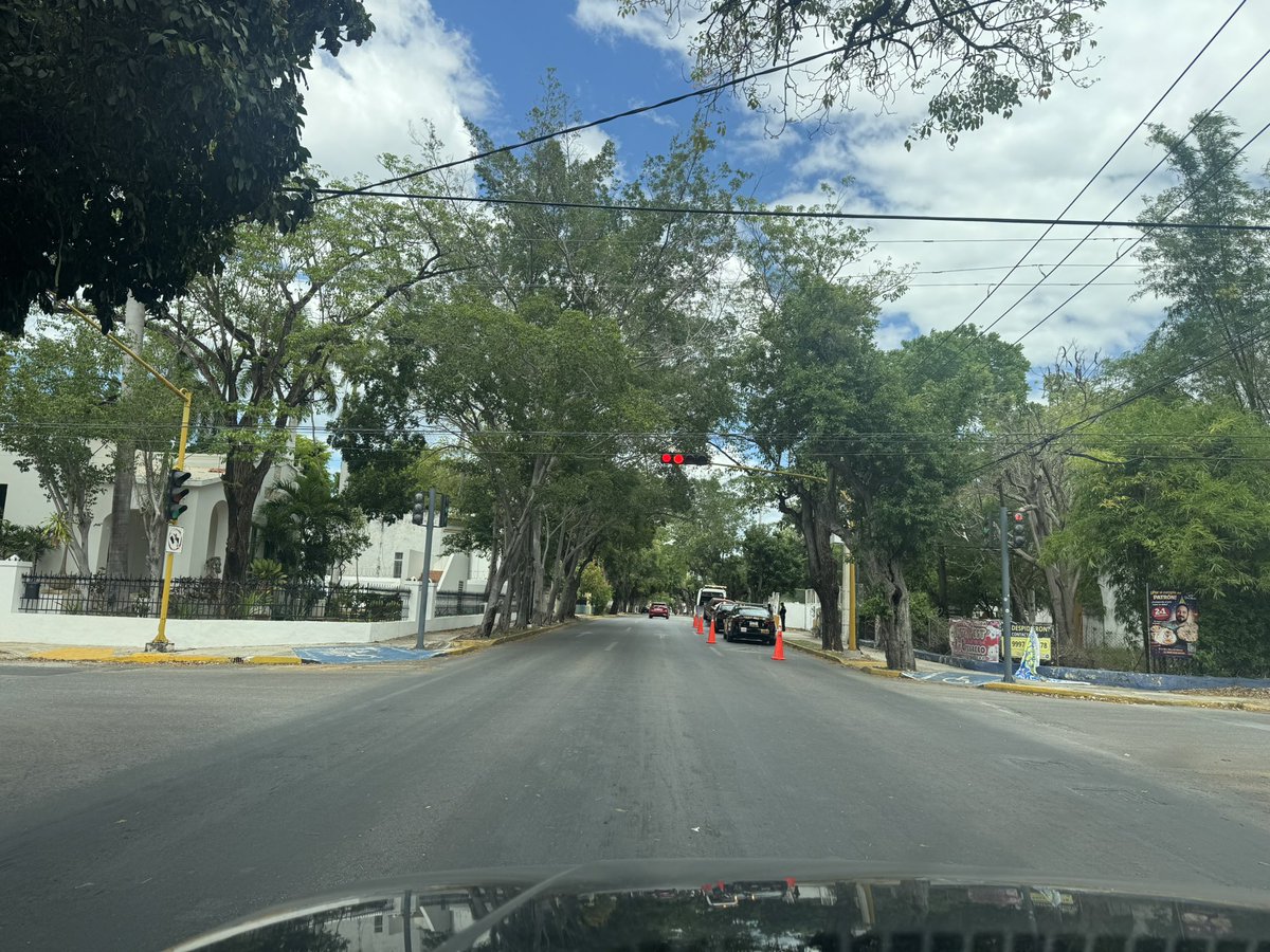 ♥️DIOSA♥️ tweet media