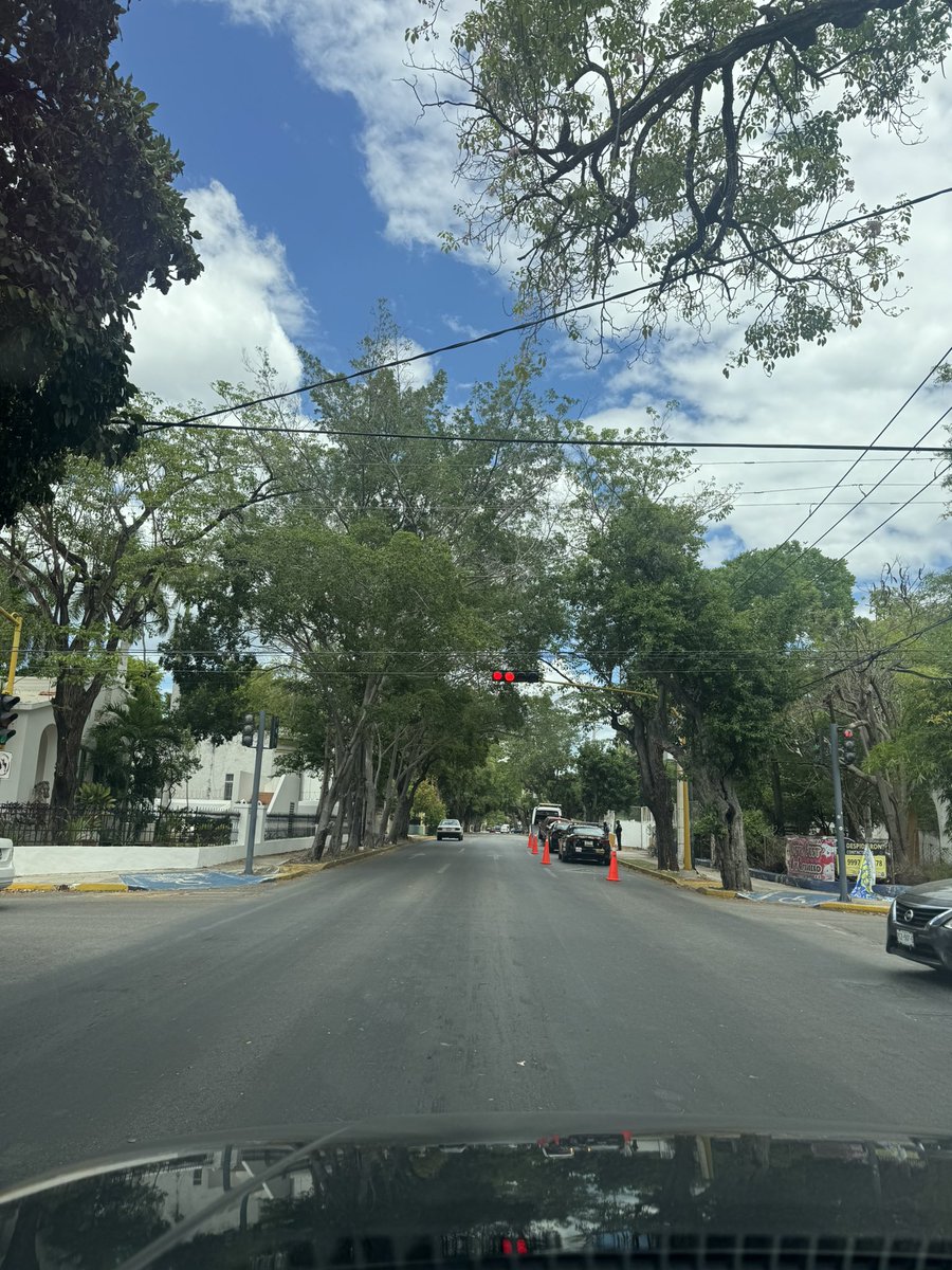 ♥️DIOSA♥️ tweet media