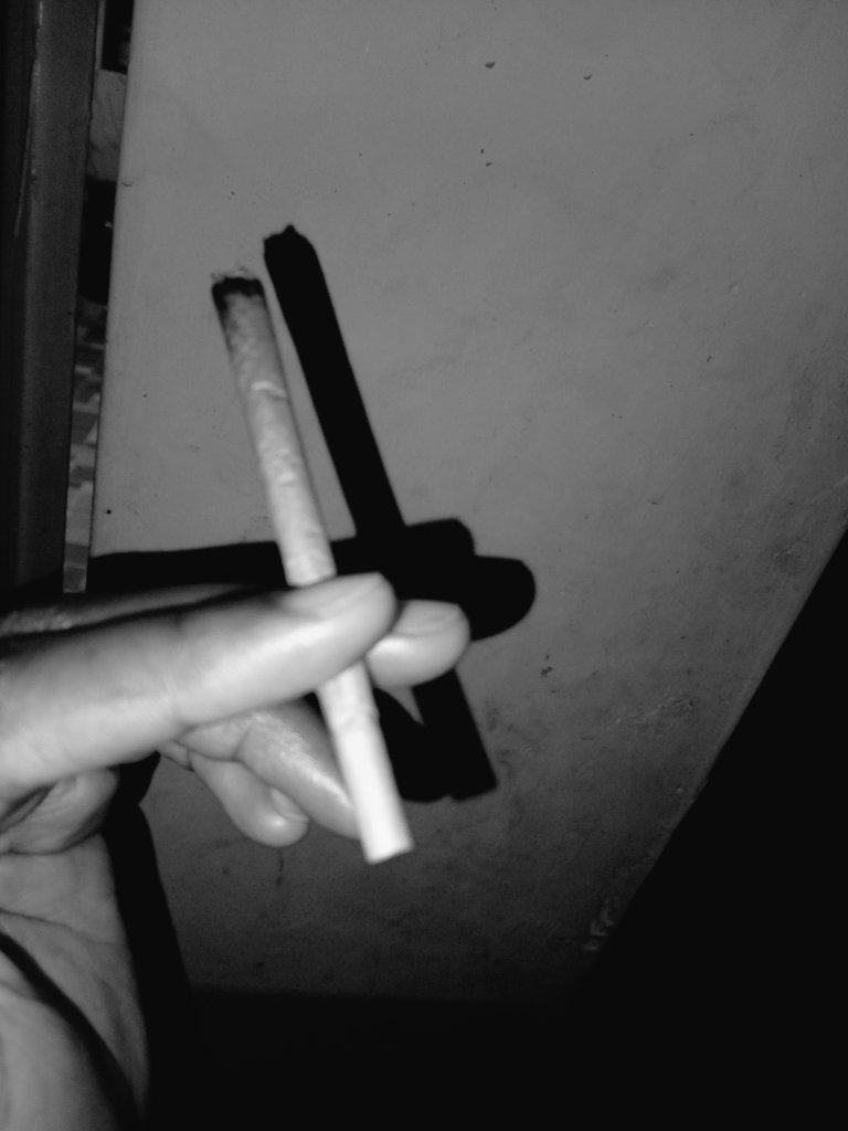 Shiii🫧🦋 tweet media