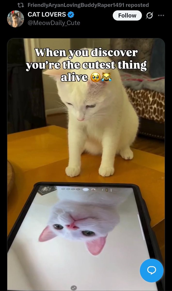 M.E.Damnatiom tweet media