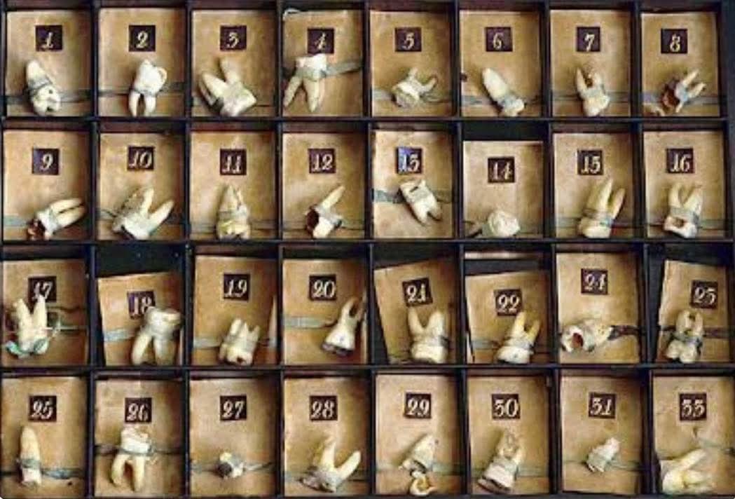 bob_brooke's tweet image. Here's a bit of bizarre history. #PetertheGreat, #EmperorofRussia, had a fascination with #dentistry and liked to personally do extractions for people in his court. Learn more at
facebook.com/antiquesandmor…