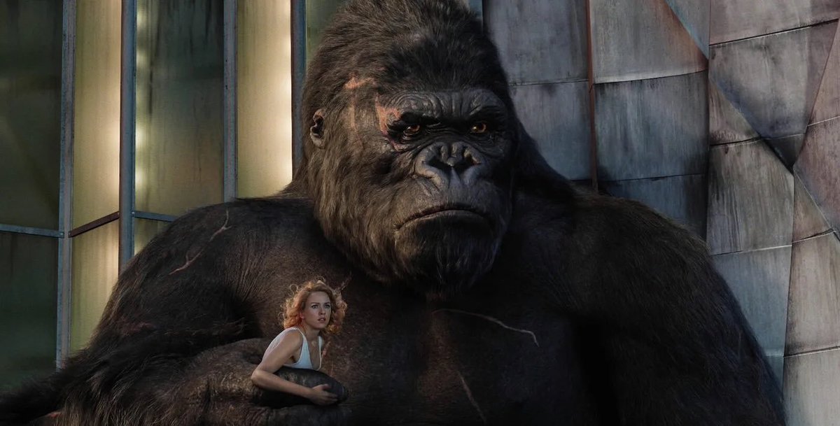 cinesthetic. tweet media