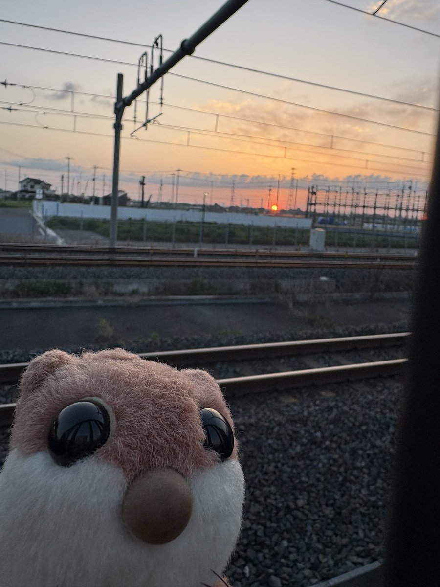 tumosabu's tweet photo. 日の出とともにしゅっぱーつ！ https://t.co/uMOFCEE4fu
