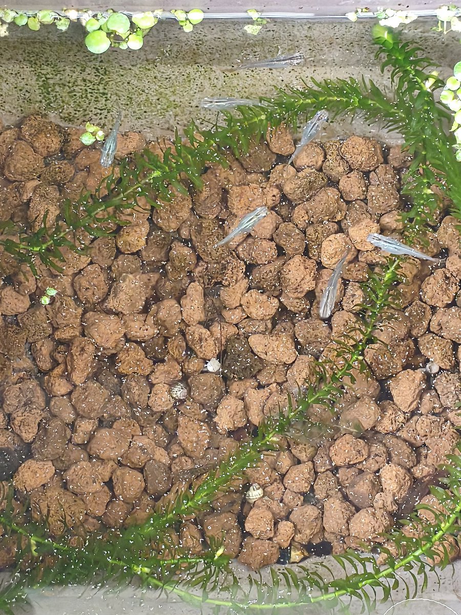 濱ちゃん🤣 tweet media