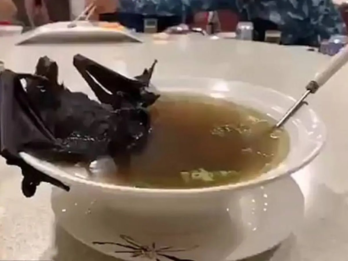 Homem de Ferro Zumbi tweet media