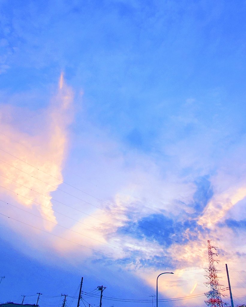 しちりん北松戸店🏮 tweet media