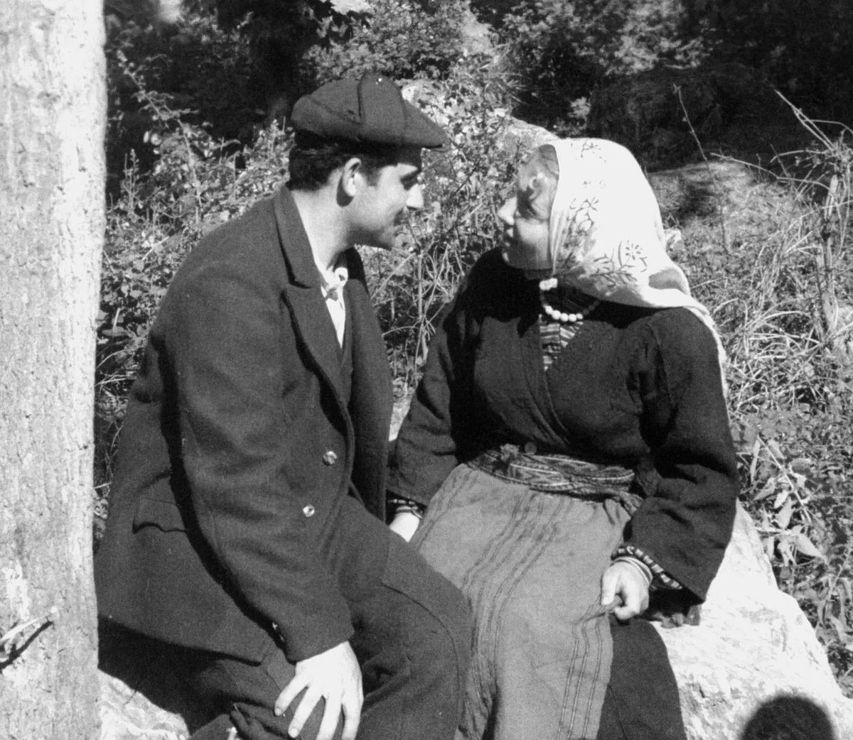 Edebi Arşiv tweet media