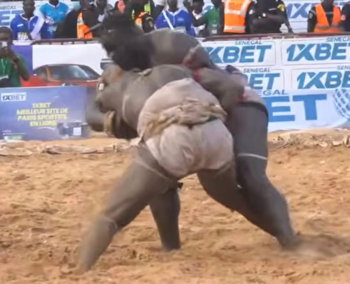 ABDOU FALL tweet media