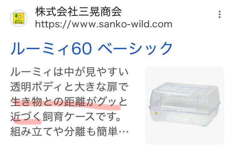 こっち tweet media